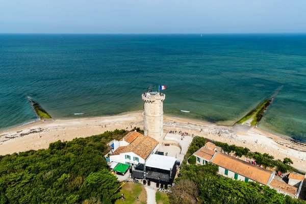 Quels sont les meilleurs endroits pour observer les baleines en Norvège ?